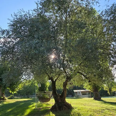 Le Domaine De Dolly