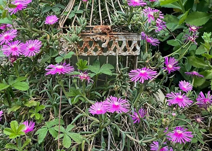 بيت ضيافة Le Domaine De Dolly فينوف سور لو